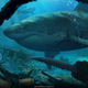 Image for article titled The Art Of Far Cry 6